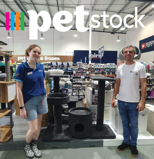 Petstock x bosscat