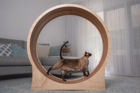 Cat & Kitten Exercise Wheel - Claude