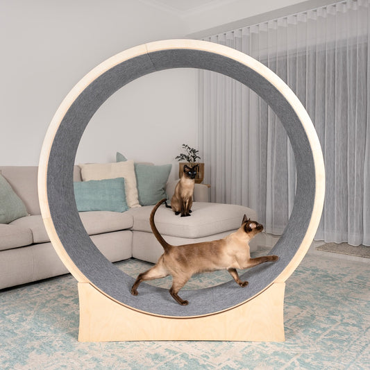 Claude Enrichment Wheel launching soon!