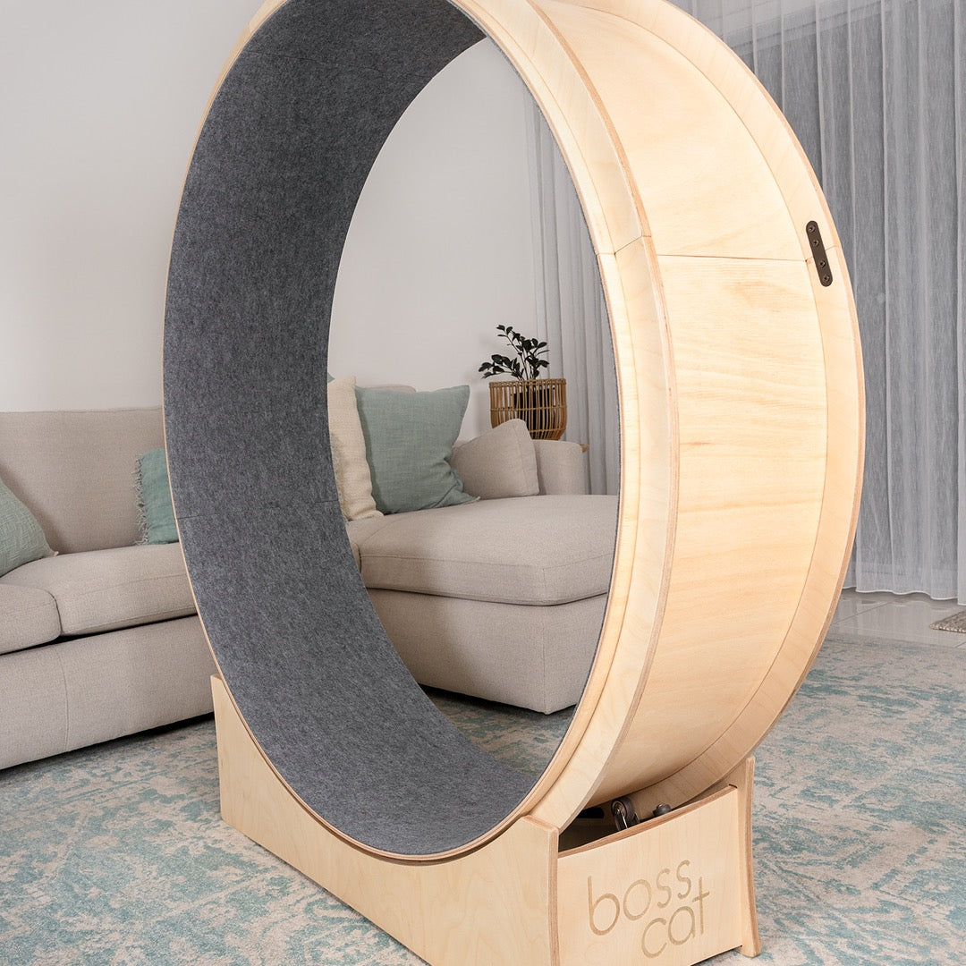 Cat Exercise Wheel