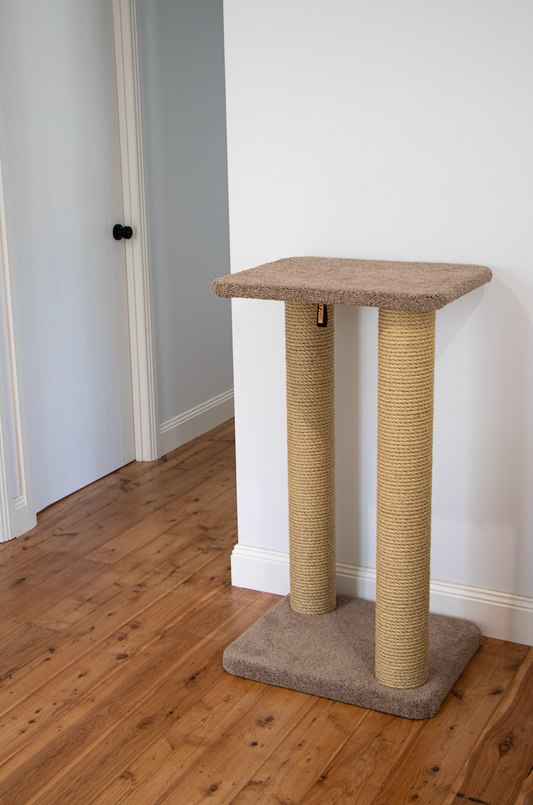 Eco-Friendly Large Cat Scratching Post - Gus